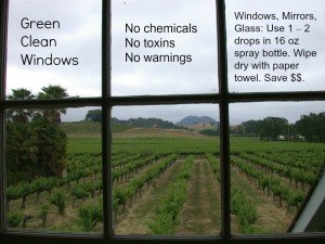 green-clean-windows