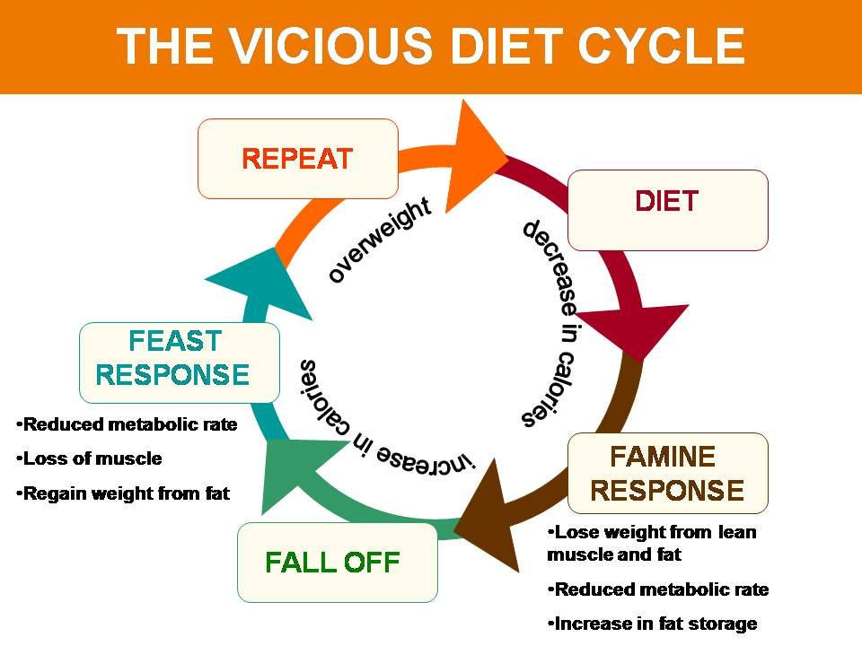  - Diet-Cycle