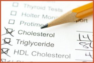 coenzyme q10 cholesterol