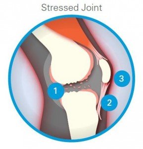 pain in joint