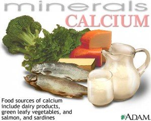 foods rich in calcium