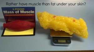 Lean Muscle better than Fat