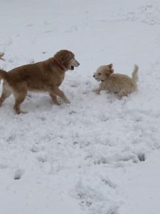 best friends bailey and chase