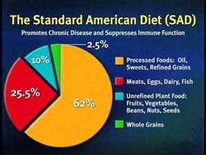 standard american diet