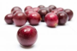 vivx muscadine grape