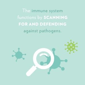 strong immune system