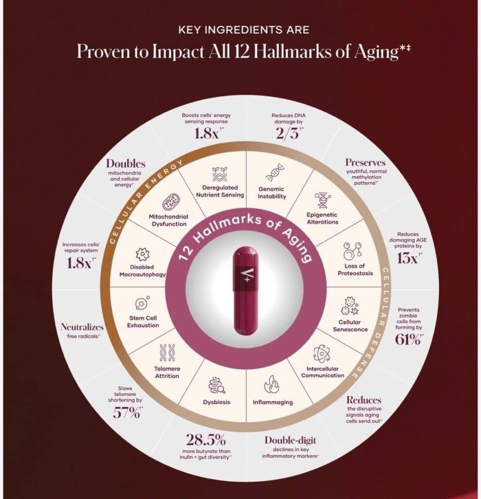12 hallmarks of aging NAD+